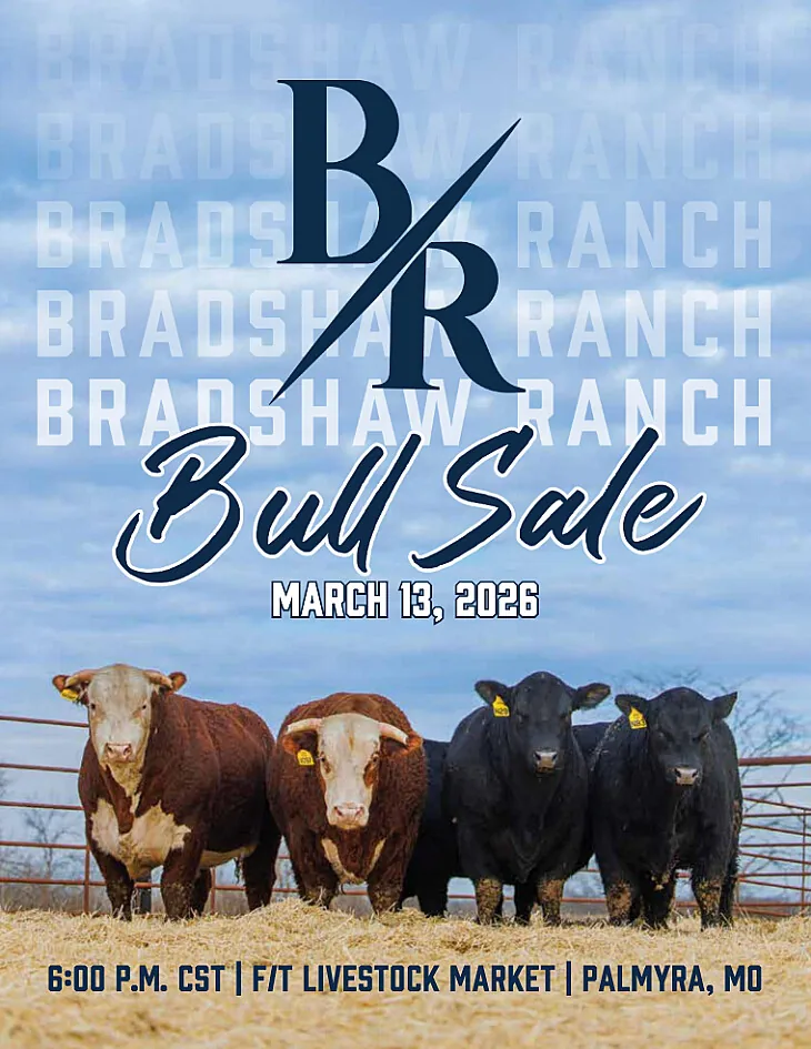 Bradshaw Ranch poster image