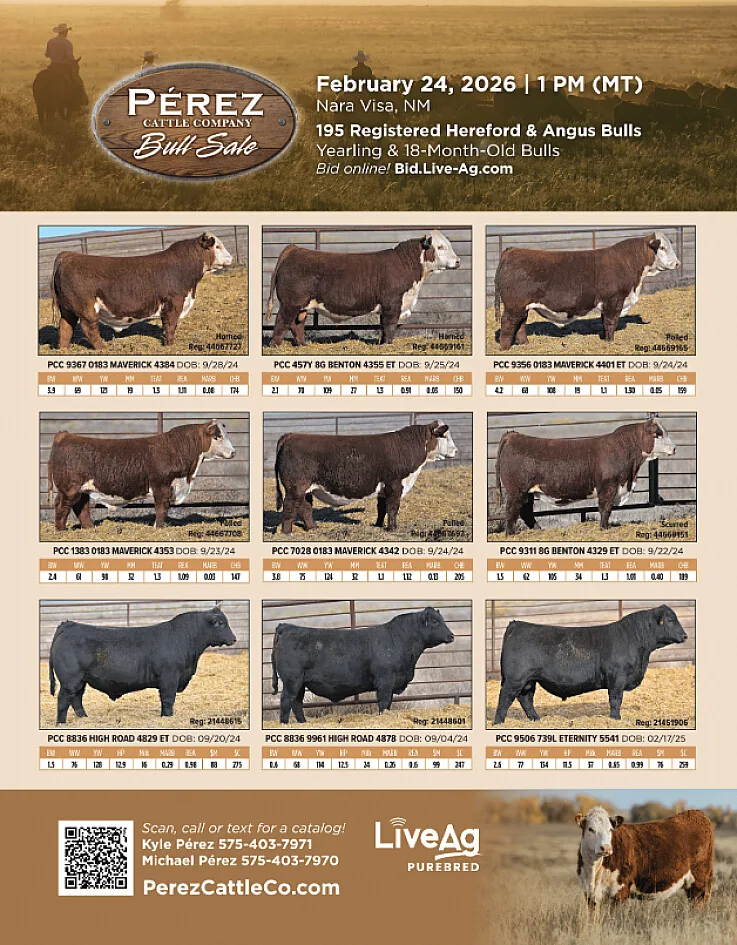 Perez Cattle Company poster image