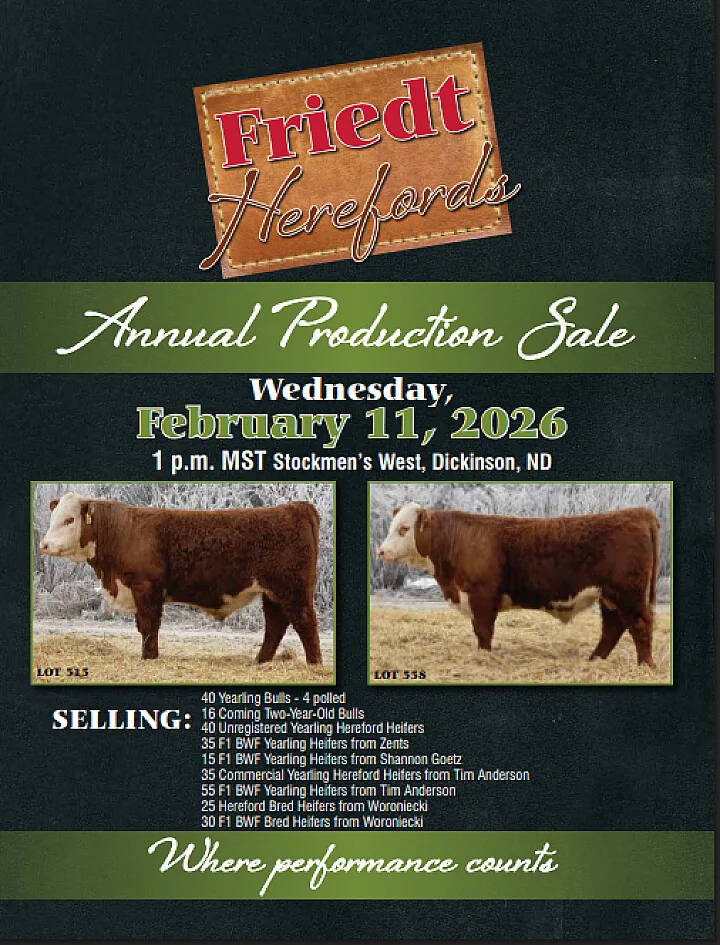 Friedt Herefords poster image
