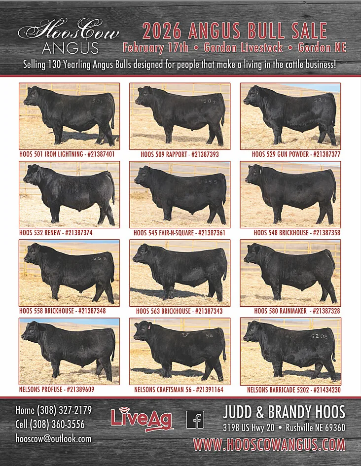 HoosCow Angus poster image