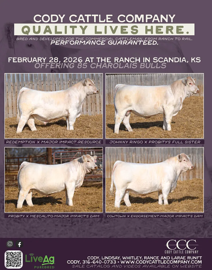 Cody Cattle Company poster image