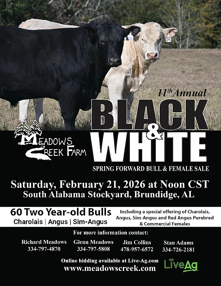 Meadows Creek Farm poster image