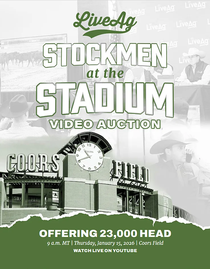 LiveAg Commercial Cattle poster image