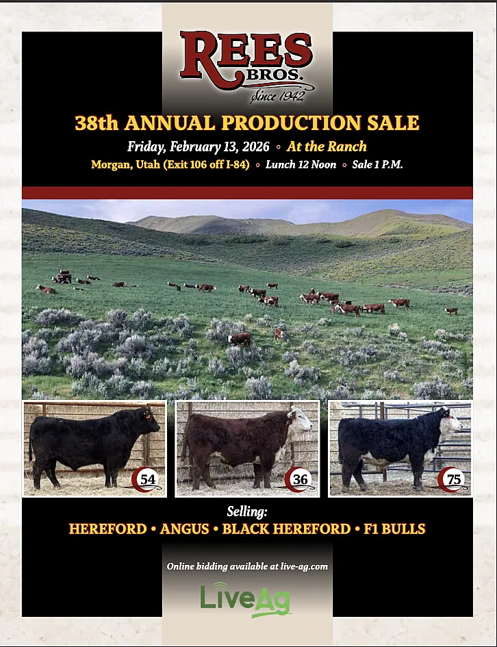 Rees Bros poster image