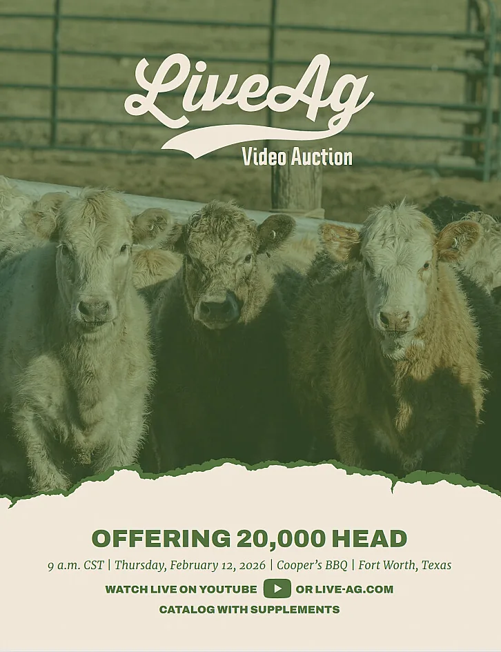 LiveAg Commercial Cattle poster image