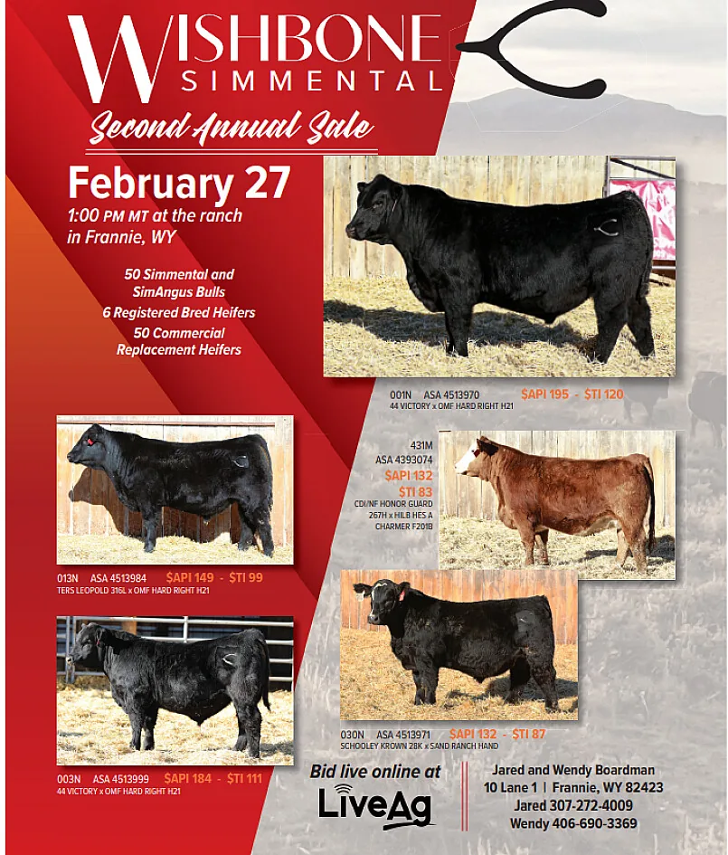 Wishbone Simmental poster image