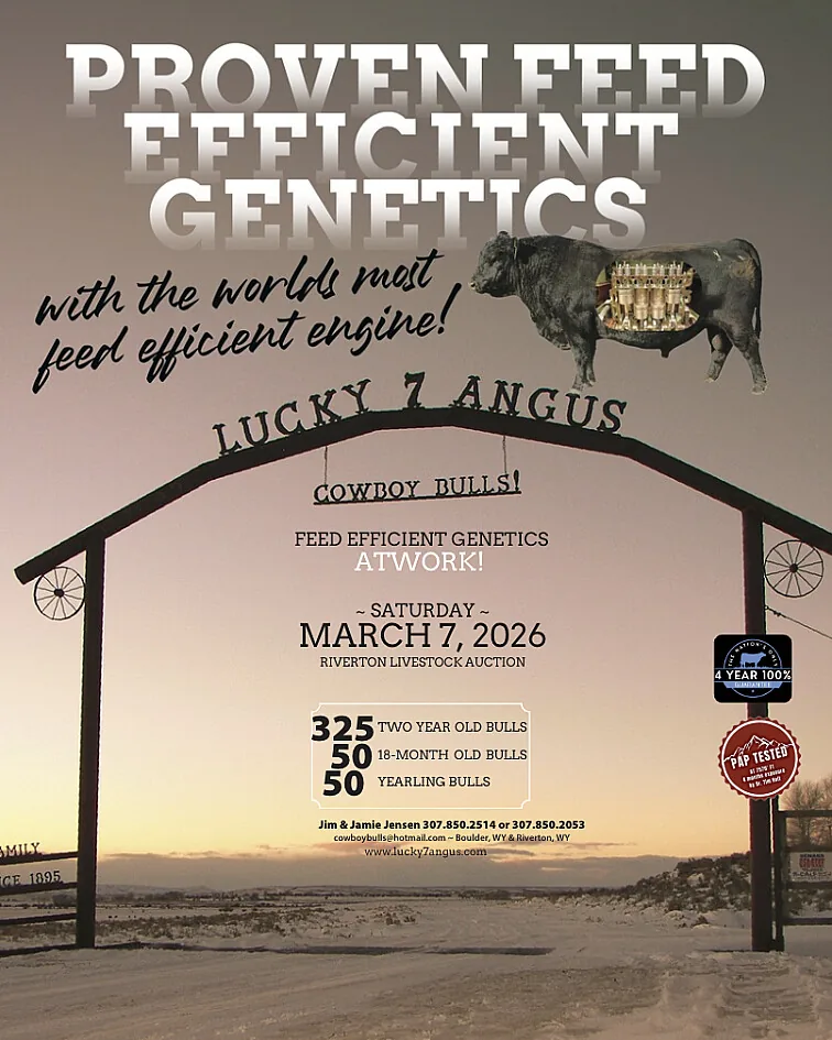 Lucky 7 Angus poster image