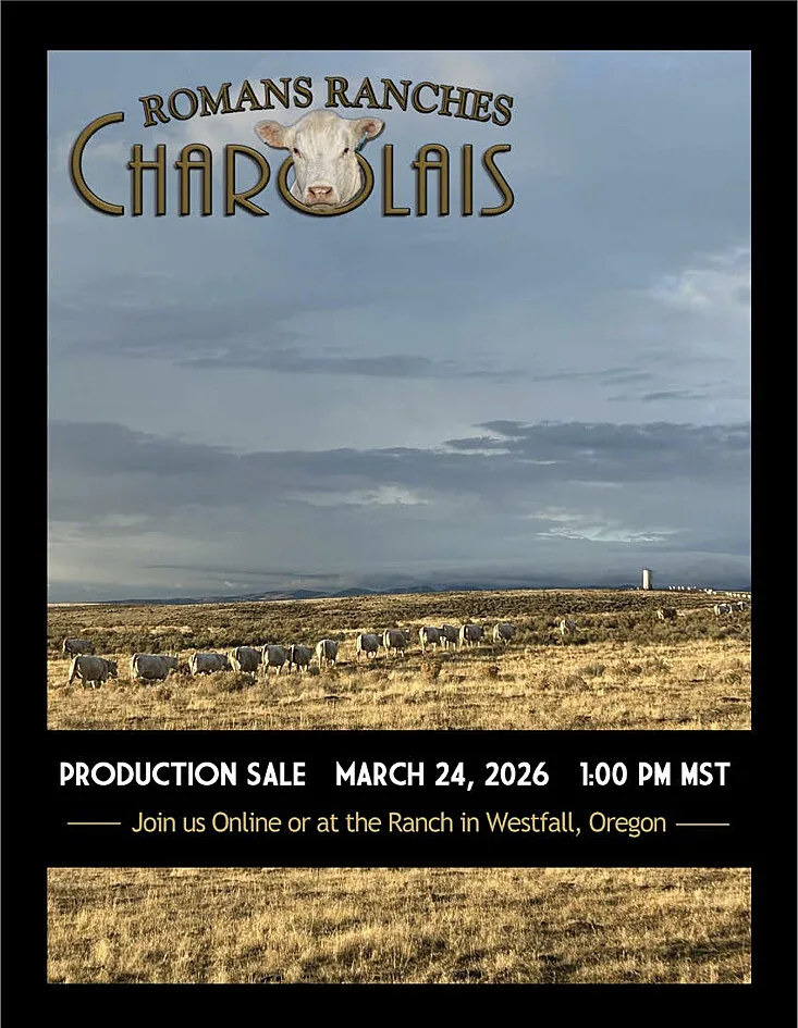 Romans Ranches Charolais poster image