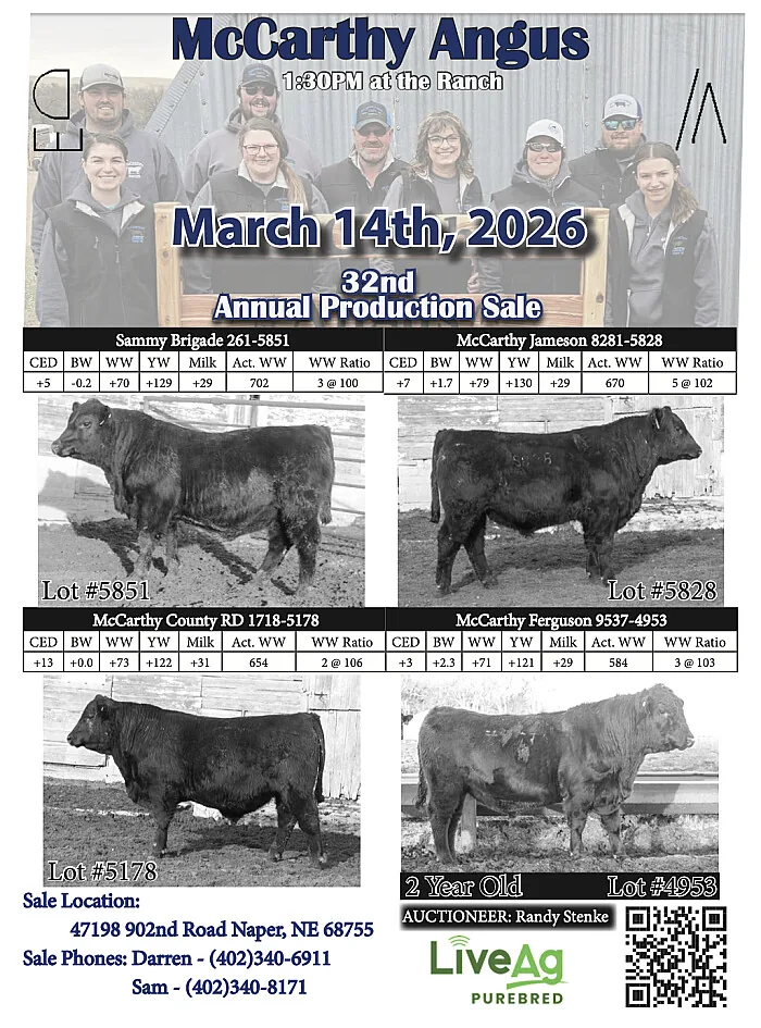 McCarthy Angus poster image