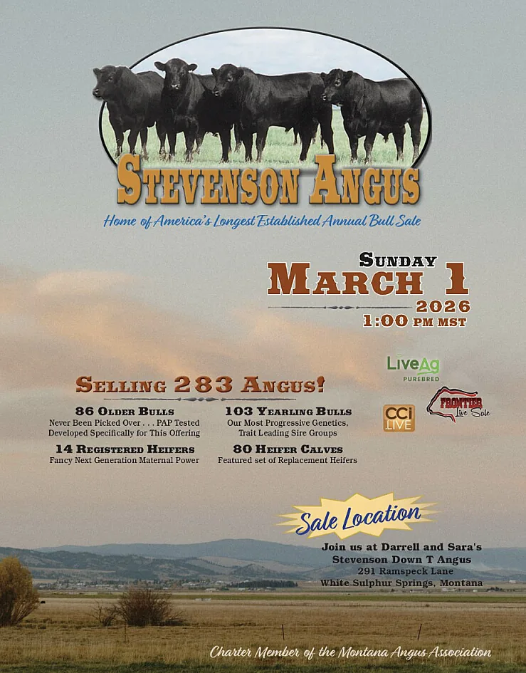 Stevenson Angus poster image