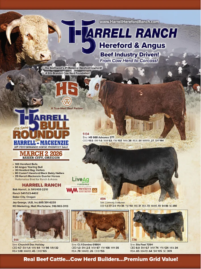 Harrell poster image