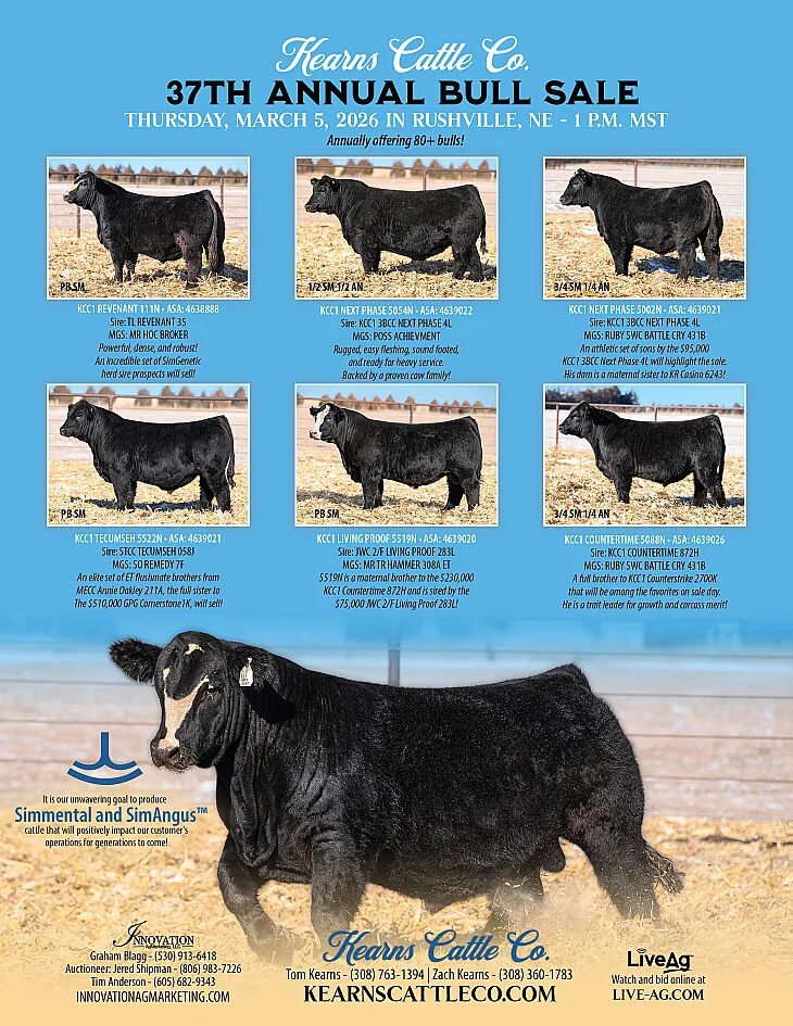 Kearns Cattle Co poster image