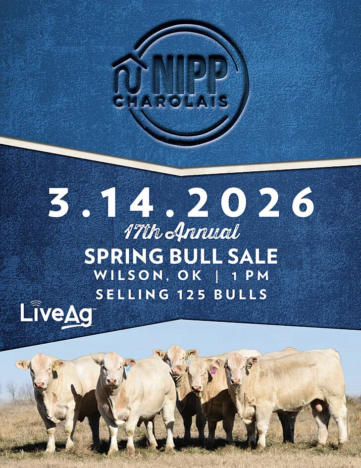 Nipp Charolais poster image