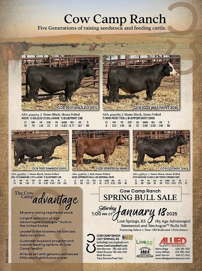 Cow Camp Ranch poster image