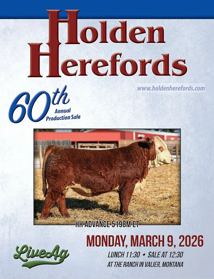 Holden Herefords poster image