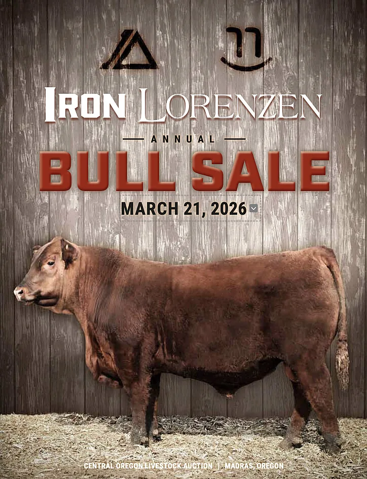 Iron Lorenzen poster image