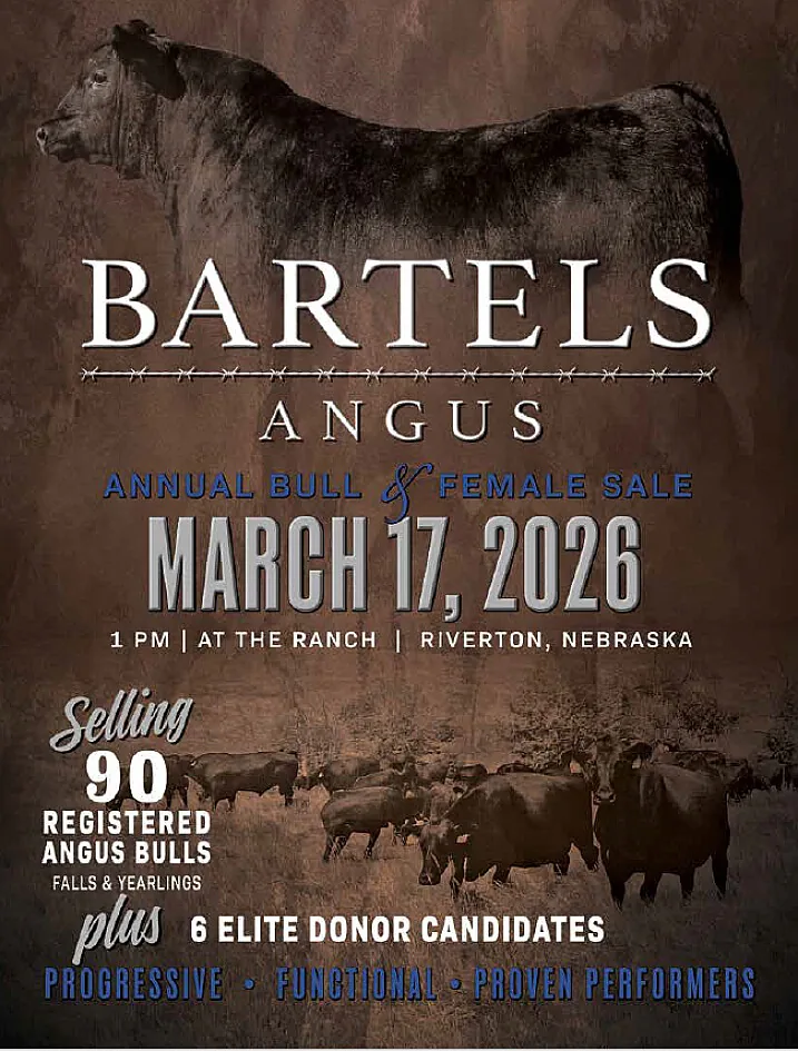 Bartels Angus poster image
