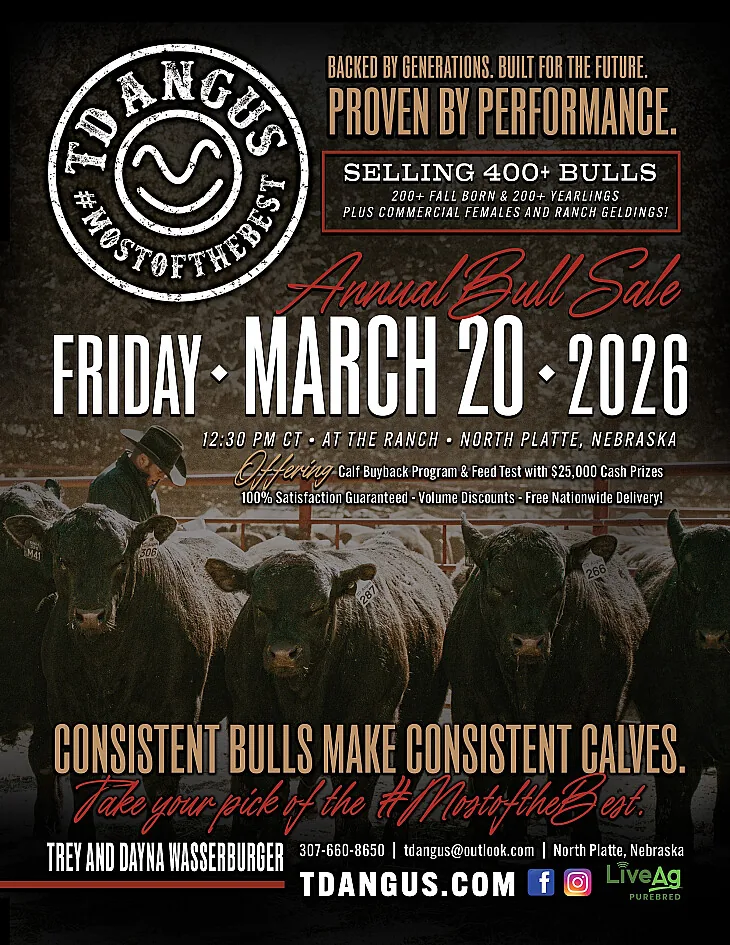 TD Angus at Rishel Ranch poster image