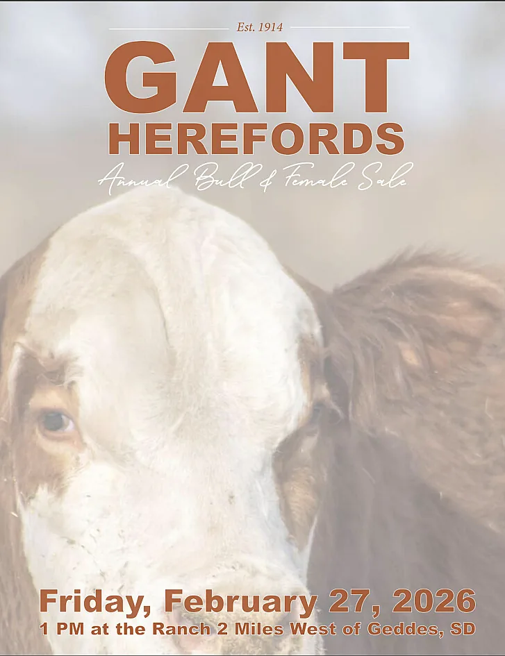 Gant Herefords poster image