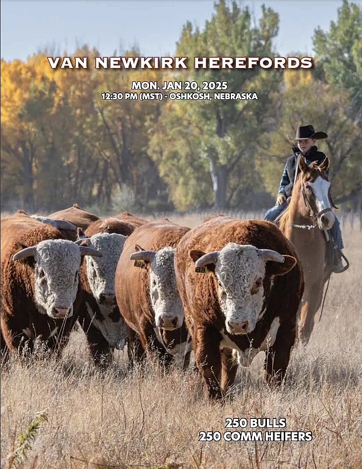 Van NewKirk Herefords poster image