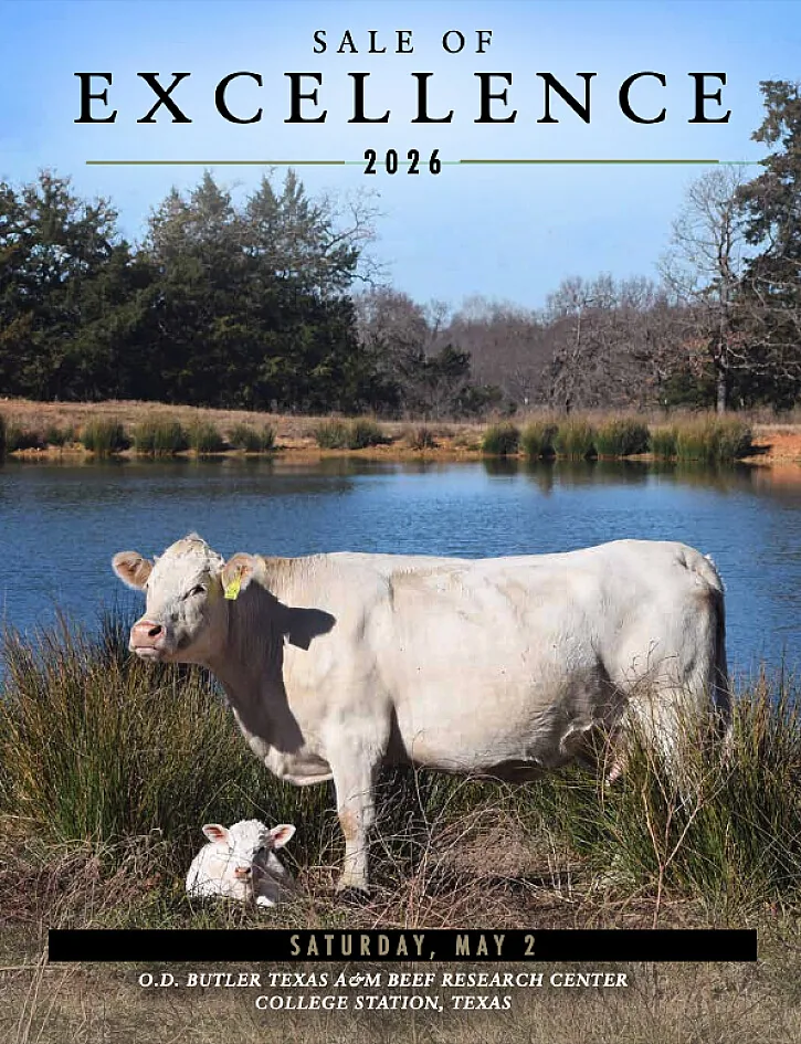 Charolais Association of Texas poster image