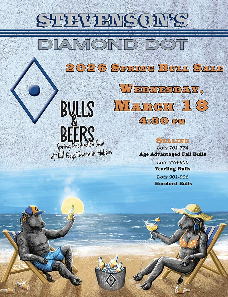 Diamond Dot poster image