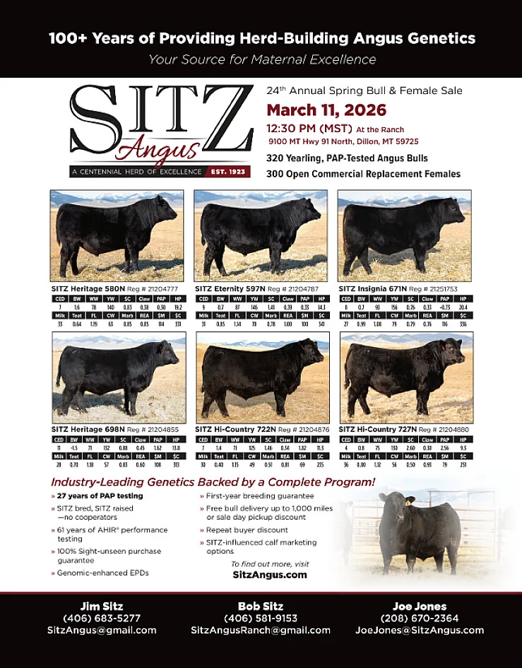 Sitz Angus poster image