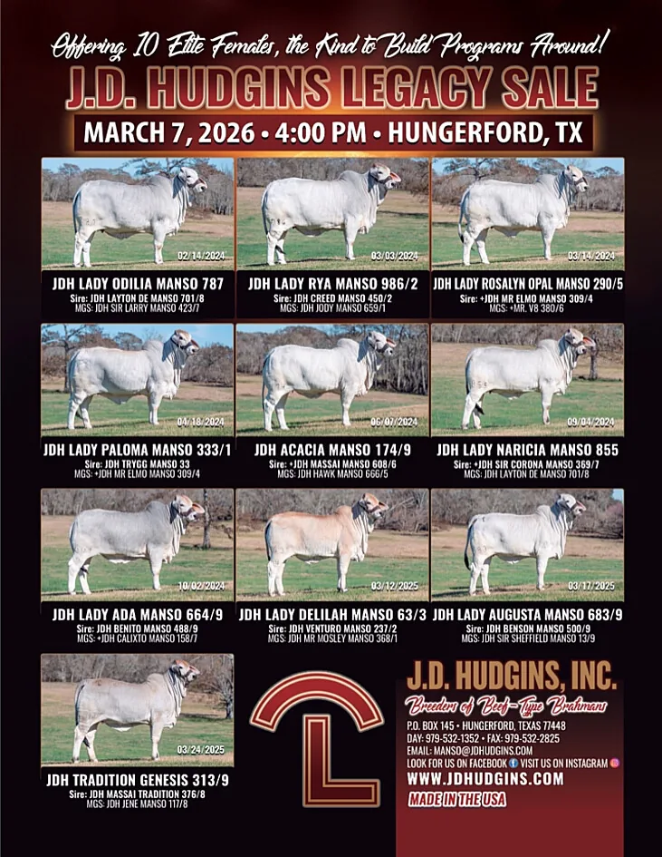 J.D. Hudgins poster image