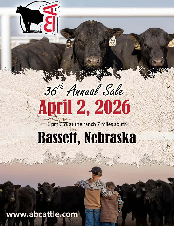 Sawyer A&B Cattle poster image