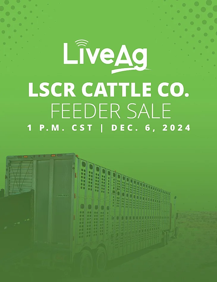 LSCR Cattle Co. poster image