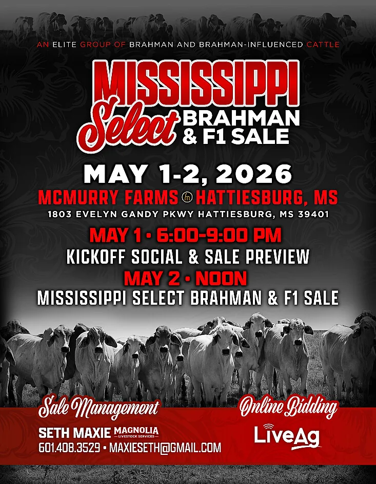 Magnolia Livestock Services poster image