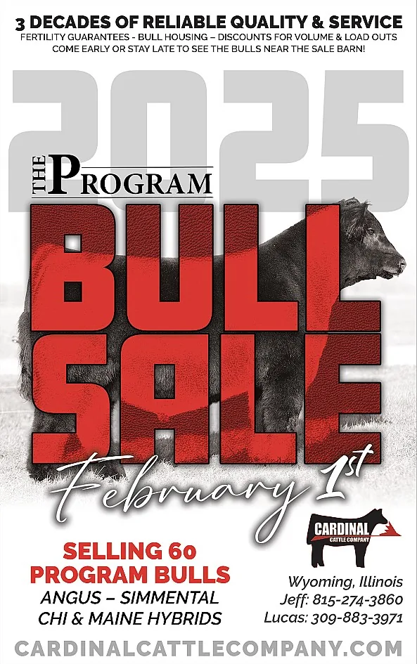 Cardinal Cattle Company poster image