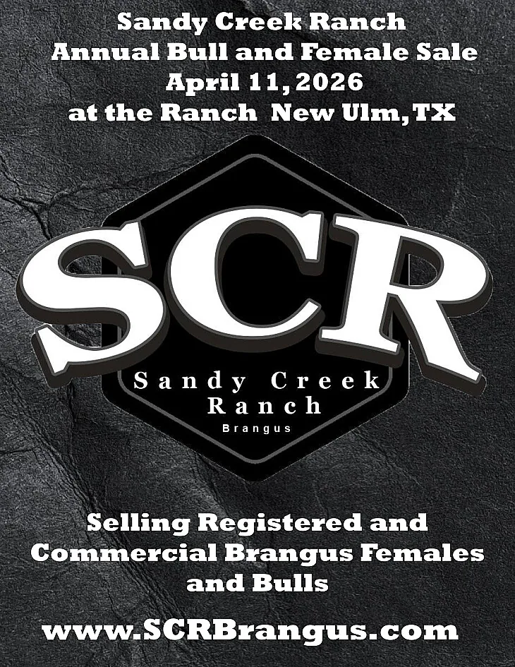 Sandy Creek Ranch poster image