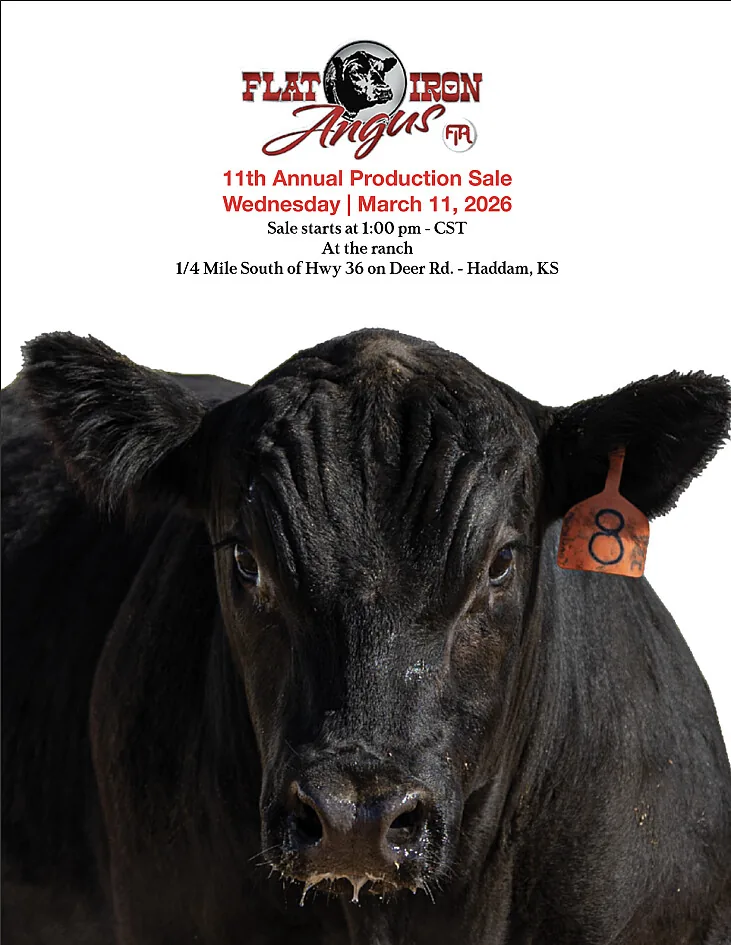 Flat Iron Angus poster image