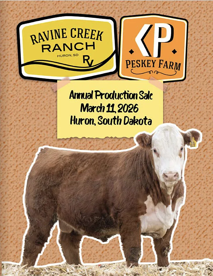 Ravine Creek Ranch poster image