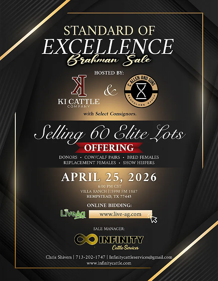 Standard of Excellence poster image