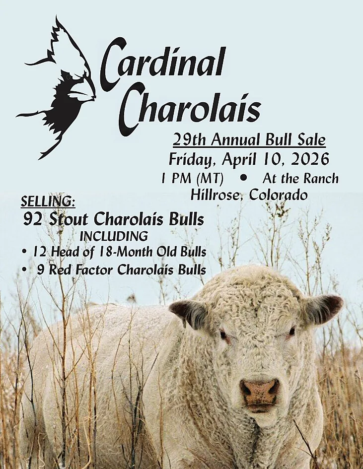 Cardinal Charolais poster image