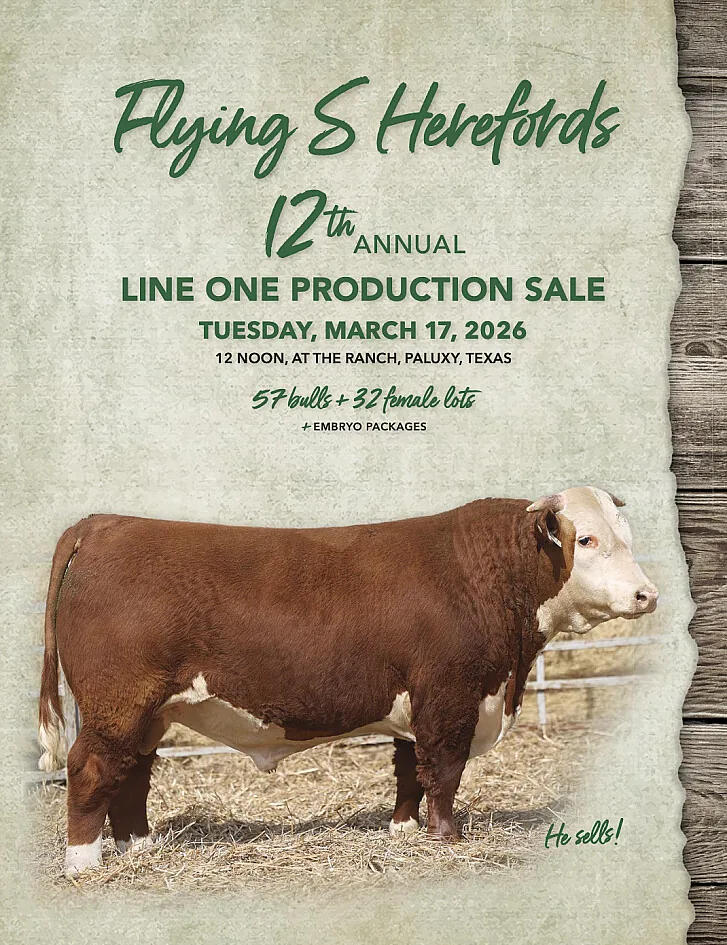 Flying S Herefords poster image