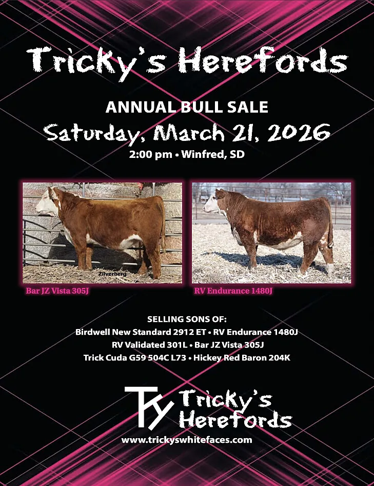 Tricky’s Herefords poster image