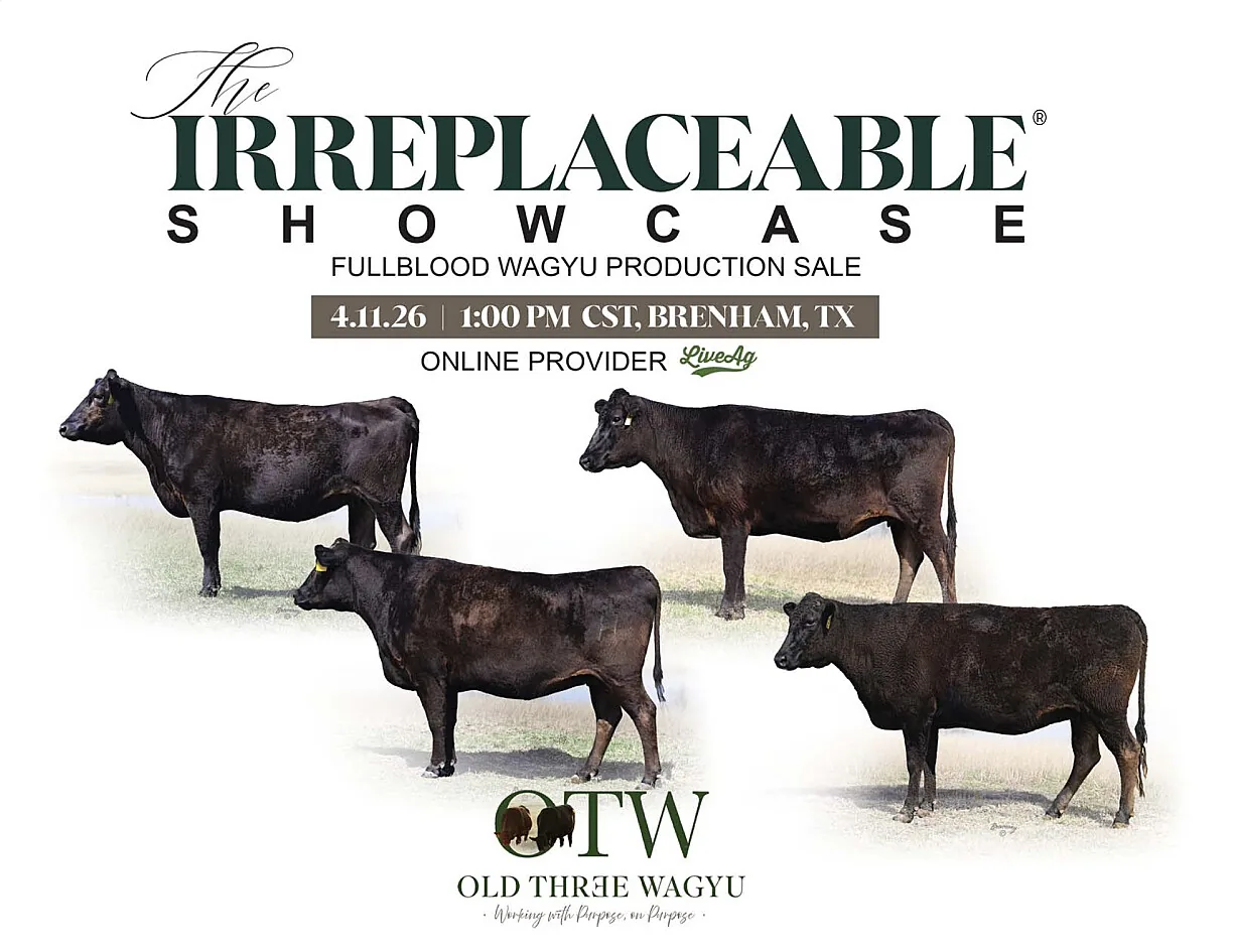 Old Three Wagyu poster image