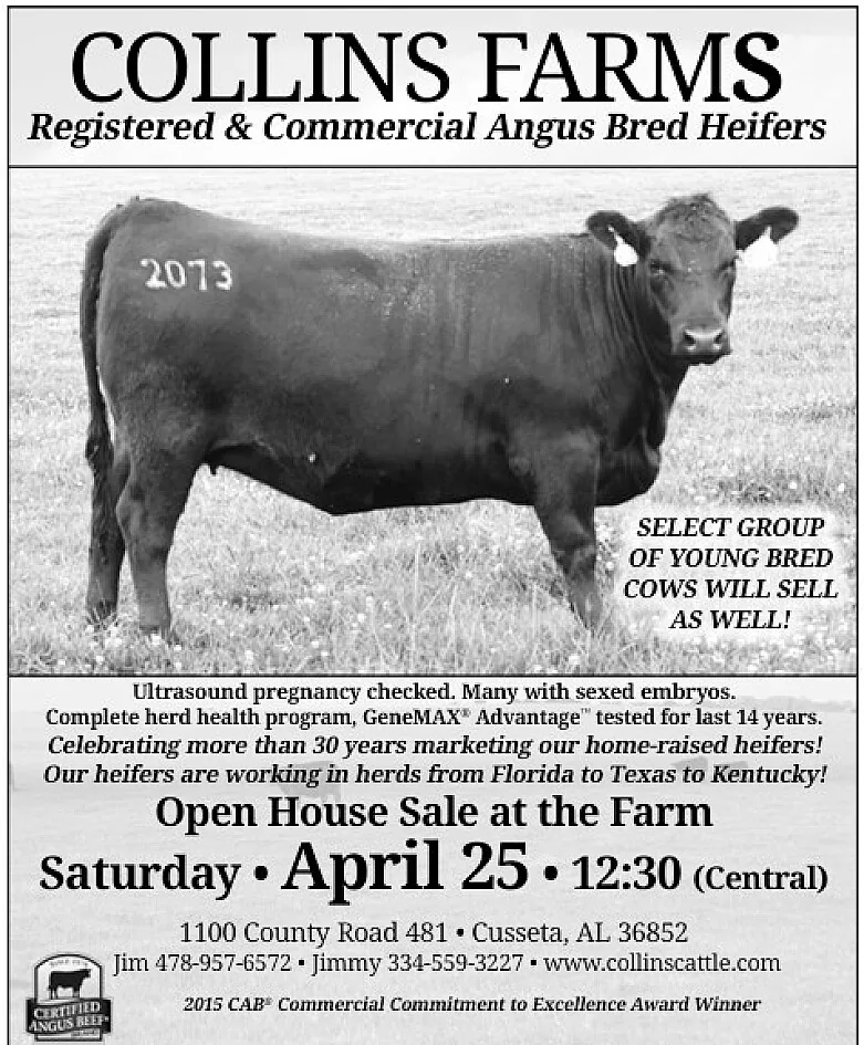Collins Farm poster image