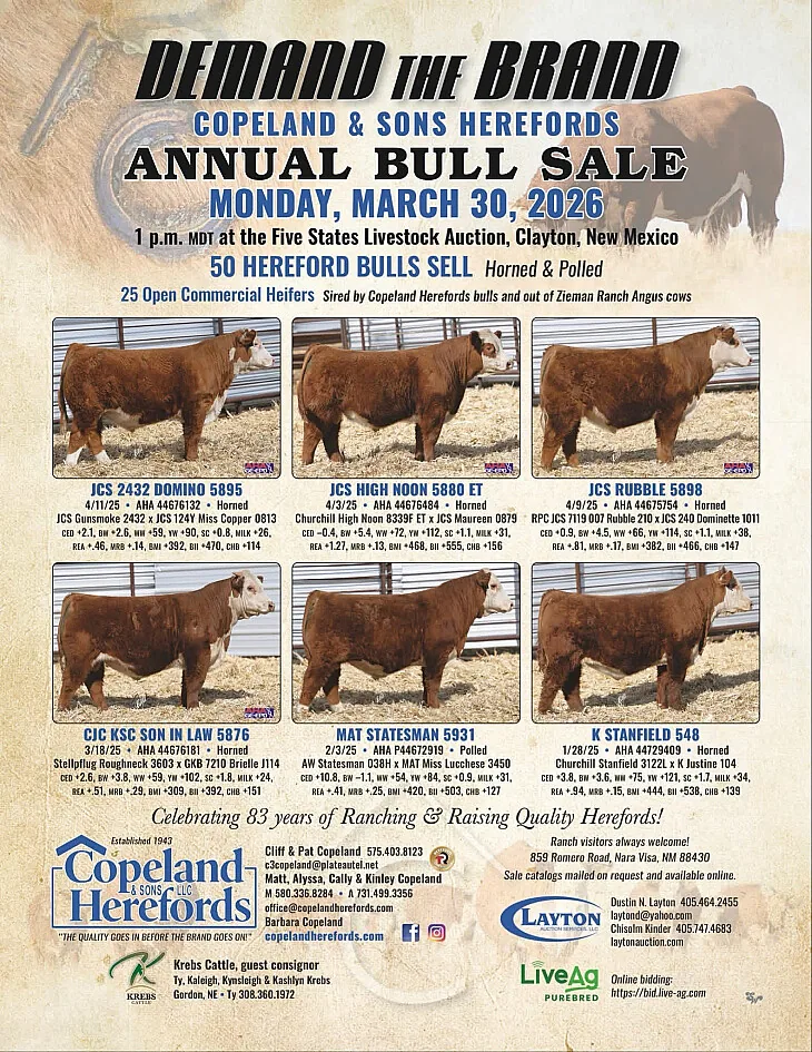 Copeland and Sons Herefords poster image