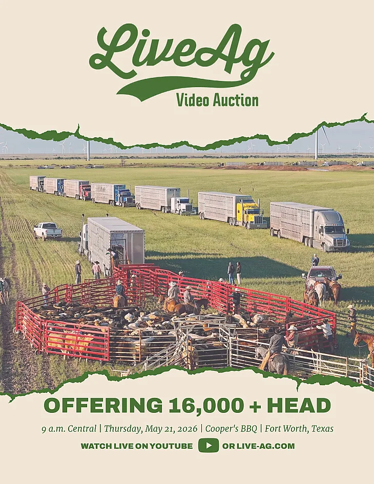 LiveAg Commercial Cattle poster image