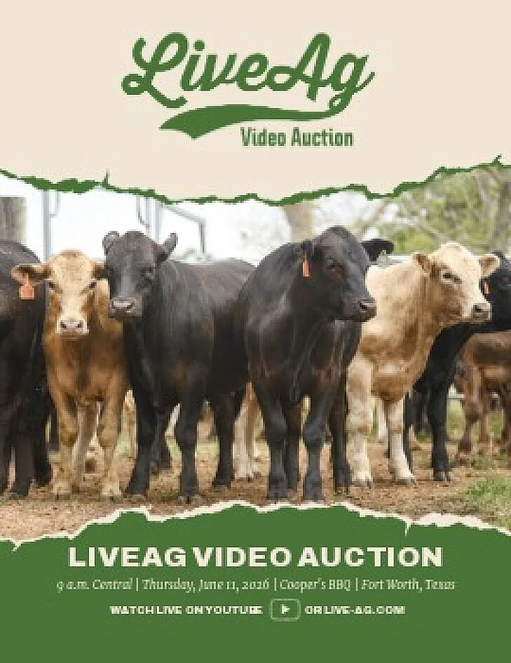 LiveAg Commercial Cattle poster image