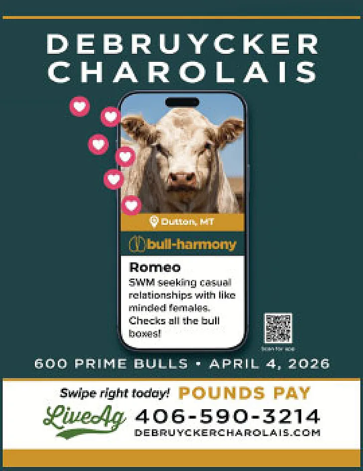 DeBruycker Charolais poster image
