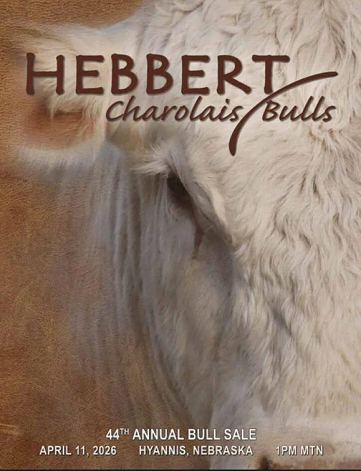 Hebbert Charolais poster image
