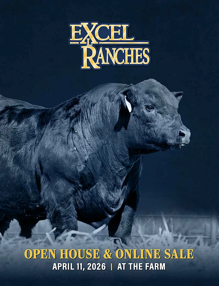 Excel Ranches poster image