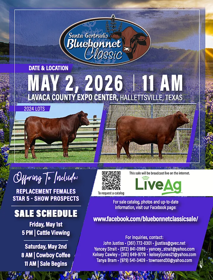 Santa Gertrudis poster image