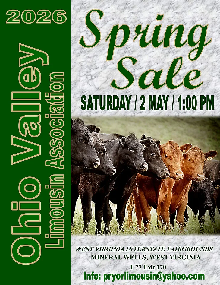 Ohio Valley Limousin poster image