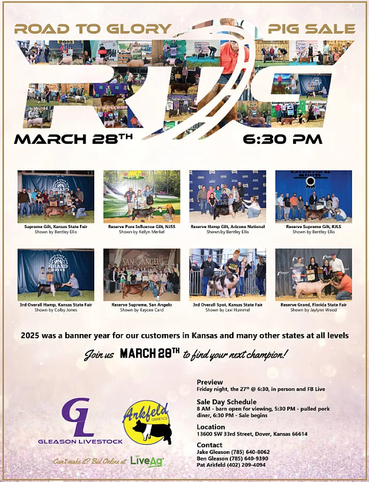 Road To Glory poster image